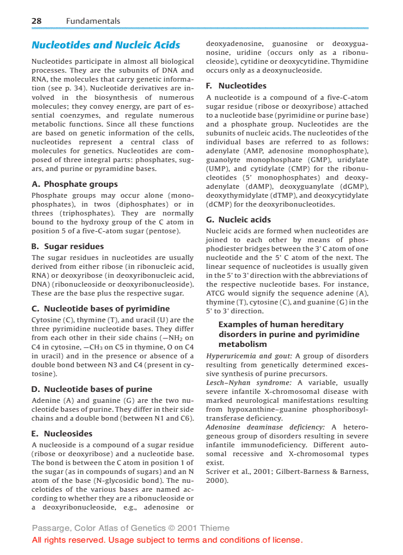 image for page Color atlas of genetics Passarge E