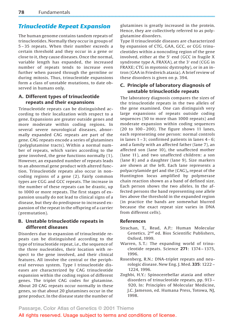 image for page Color atlas of genetics Passarge E