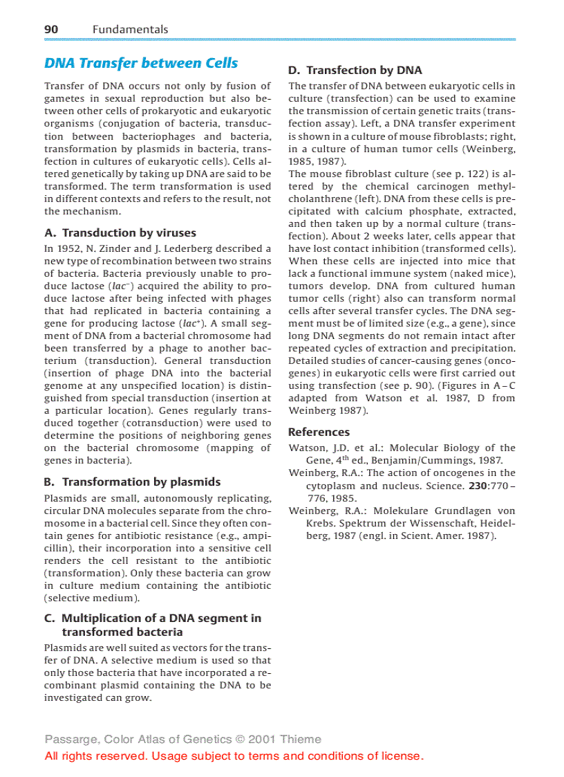 image for page Color atlas of genetics Passarge E