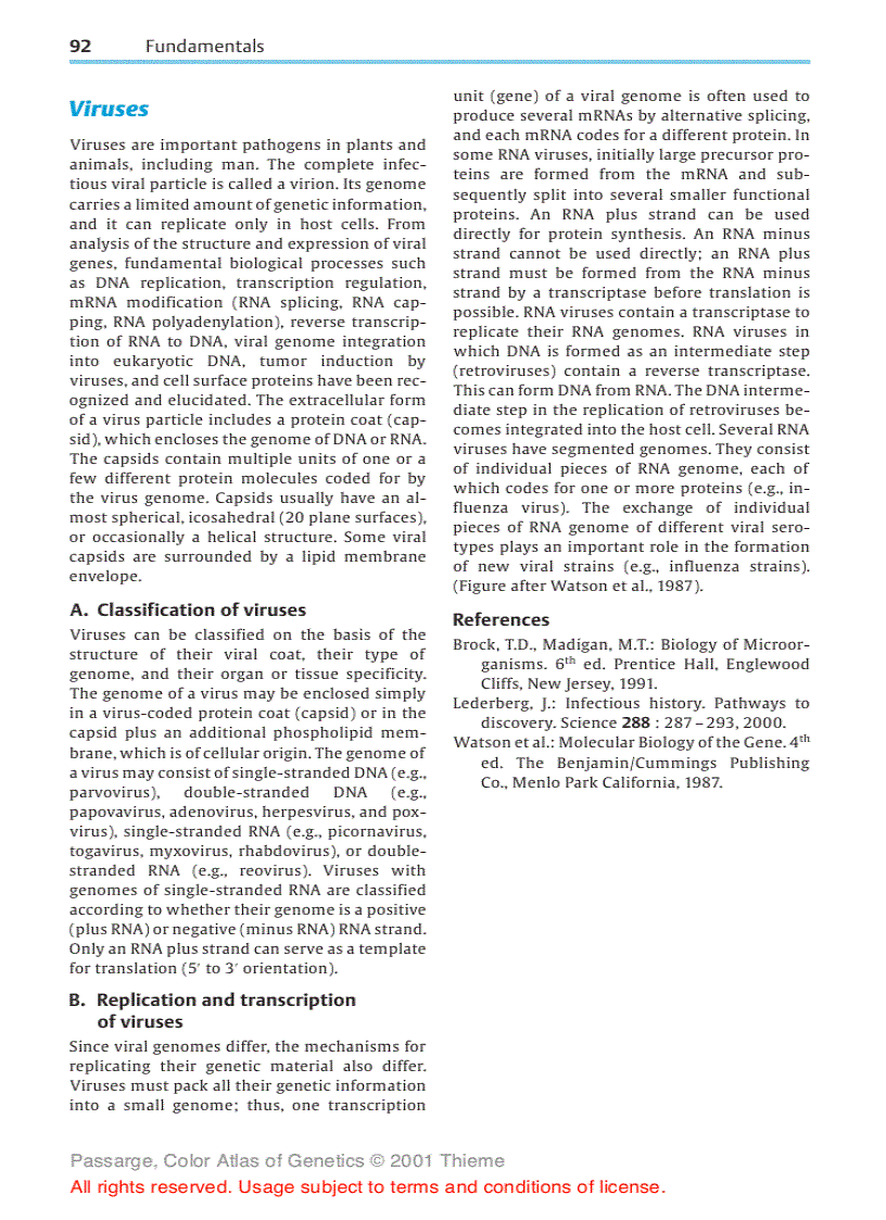 image for page Color atlas of genetics Passarge E