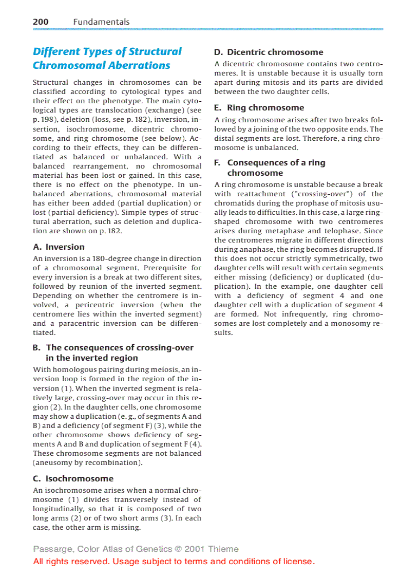 image for page Color atlas of genetics Passarge E