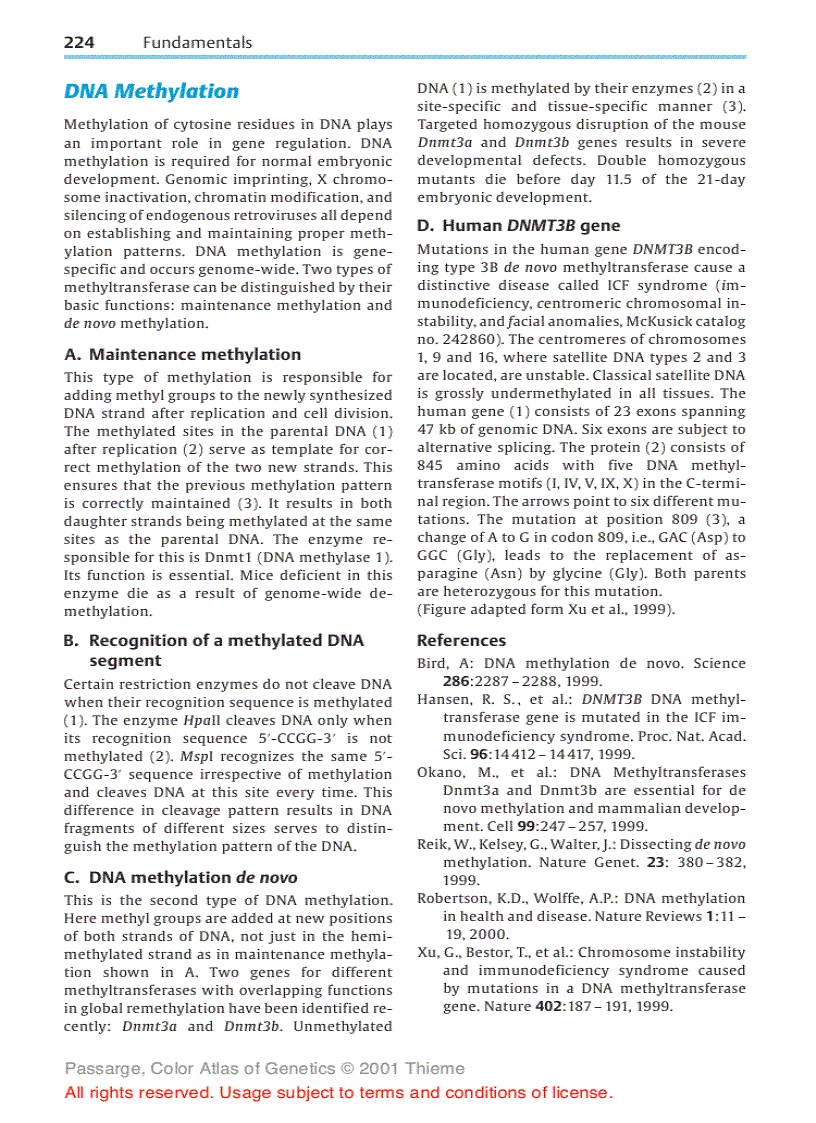 image for page Color atlas of genetics Passarge E