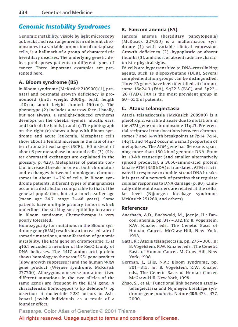 image for page Color atlas of genetics Passarge E