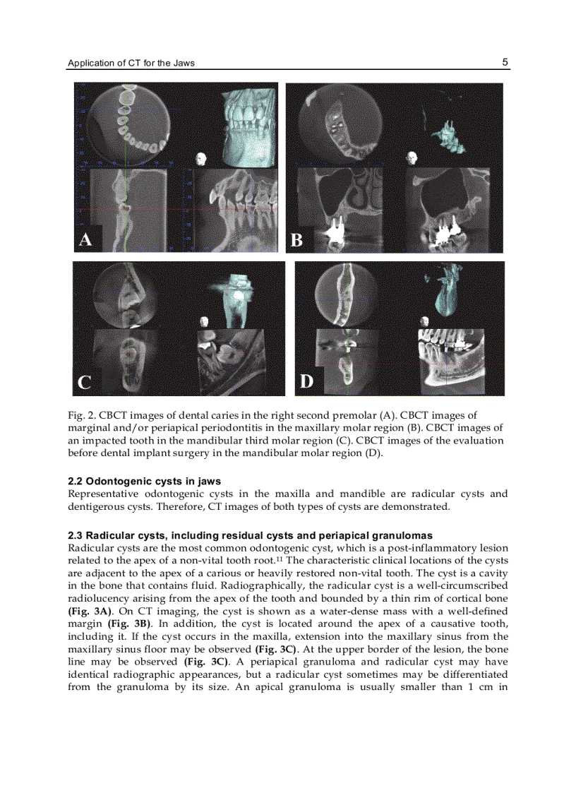image for page Computed Tomography Special Applications