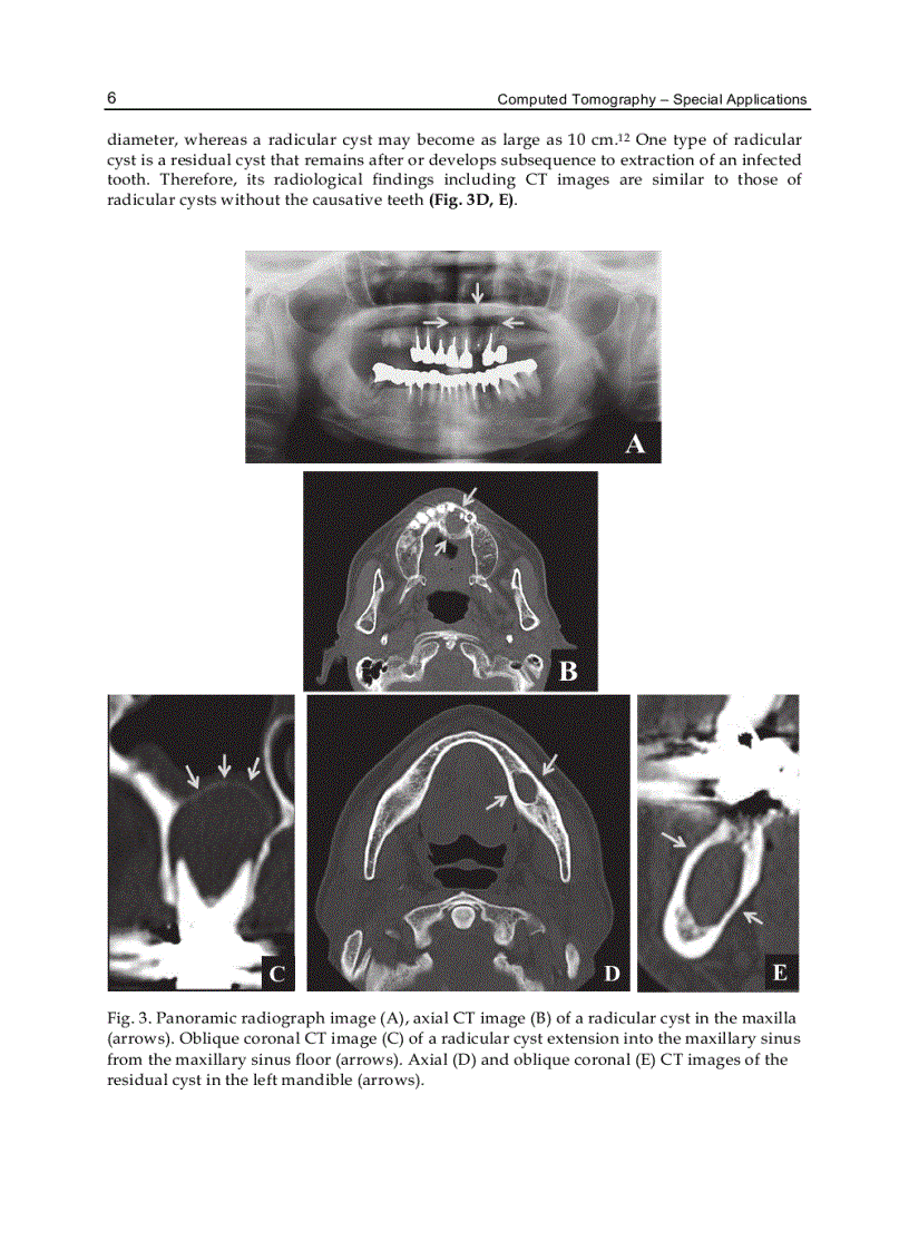 image for page Computed Tomography Special Applications