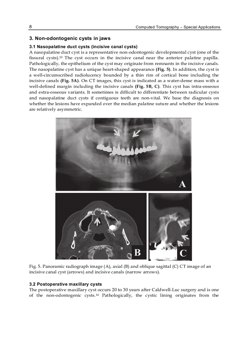 image for page Computed Tomography Special Applications