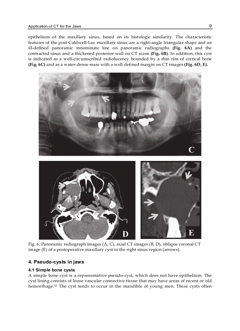 image for page Computed Tomography Special Applications