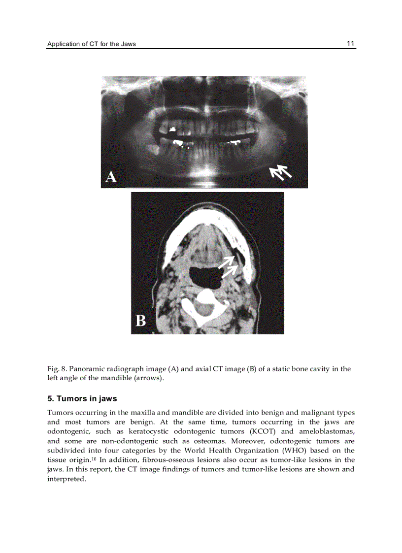 image for page Computed Tomography Special Applications