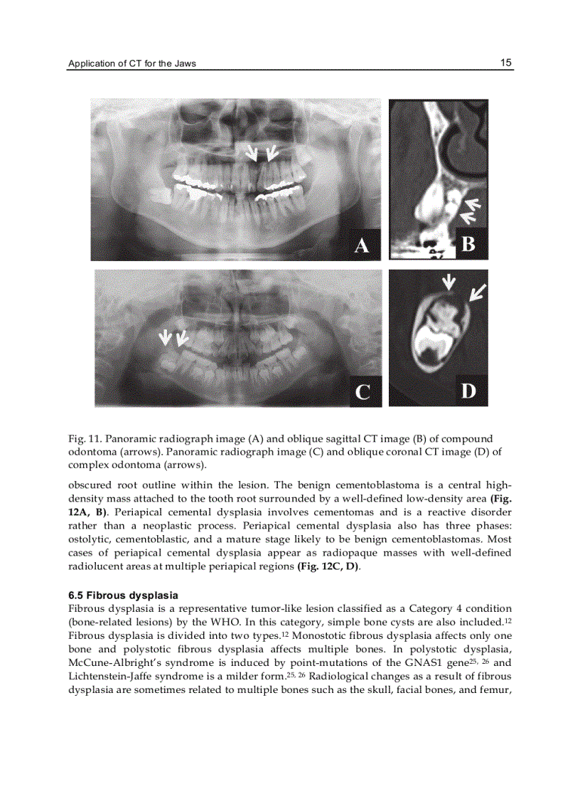 image for page Computed Tomography Special Applications