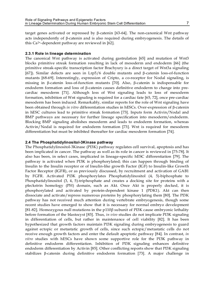 image for page Embryonic Stem Cells Differentiation and Pluripotent Alternatives