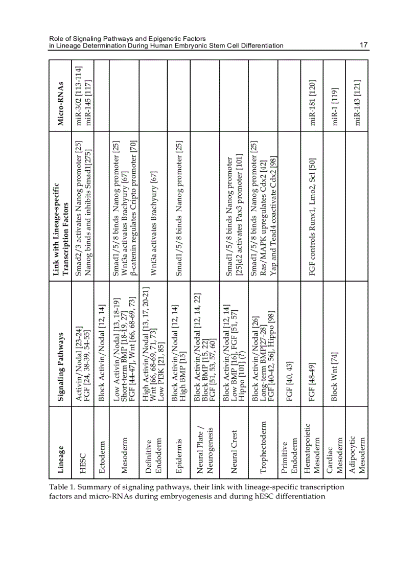 image for page Embryonic Stem Cells Differentiation and Pluripotent Alternatives