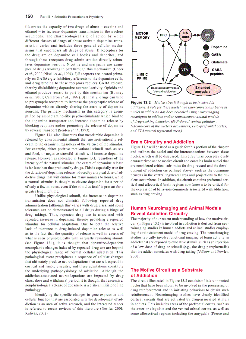 image for page Essentials of Psychiatry 1st Edition