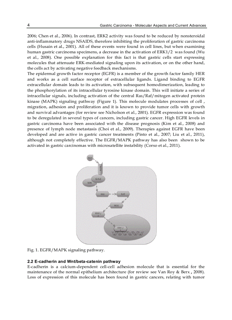 image for page Gastric Carcinoma Molecular Aspects and Current Advances