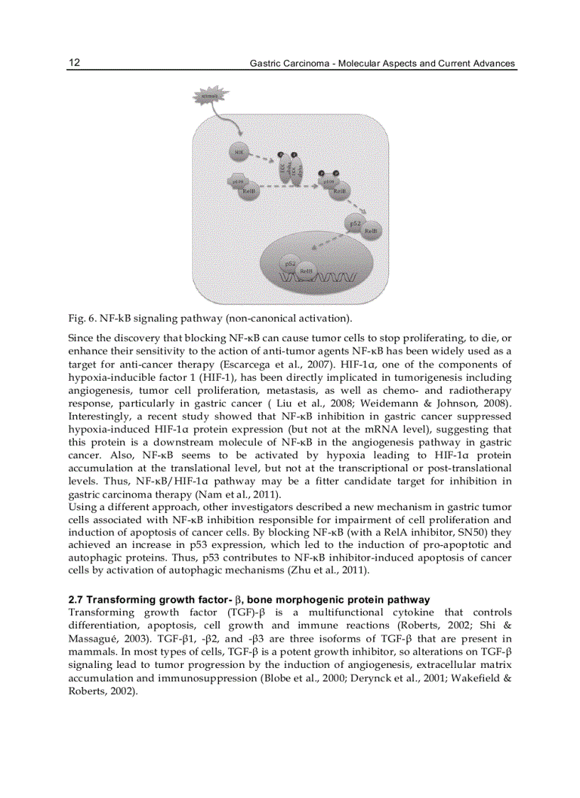 image for page Gastric Carcinoma Molecular Aspects and Current Advances