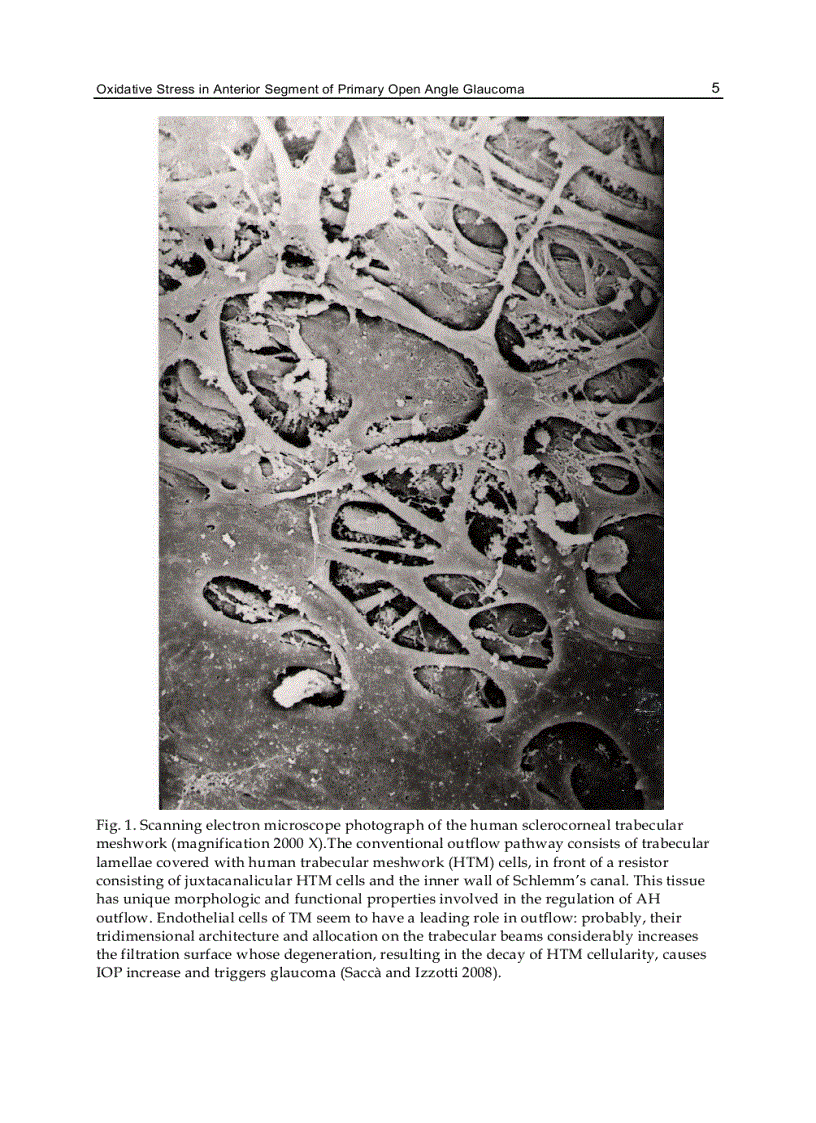 image for page Glaucoma Current Clinical and Research Aspects