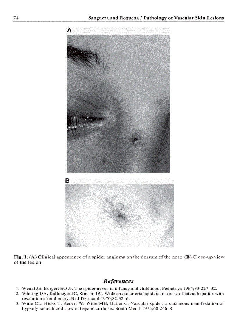 image for page Humana Press