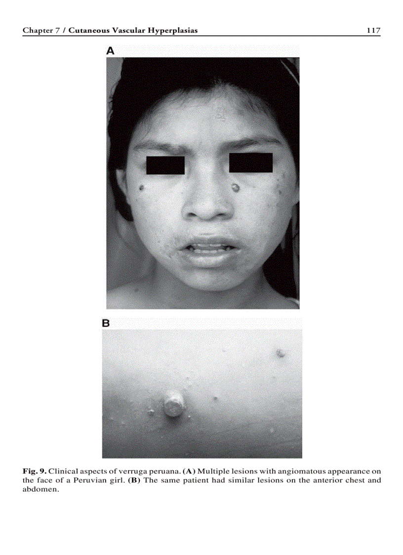 image for page Humana Press