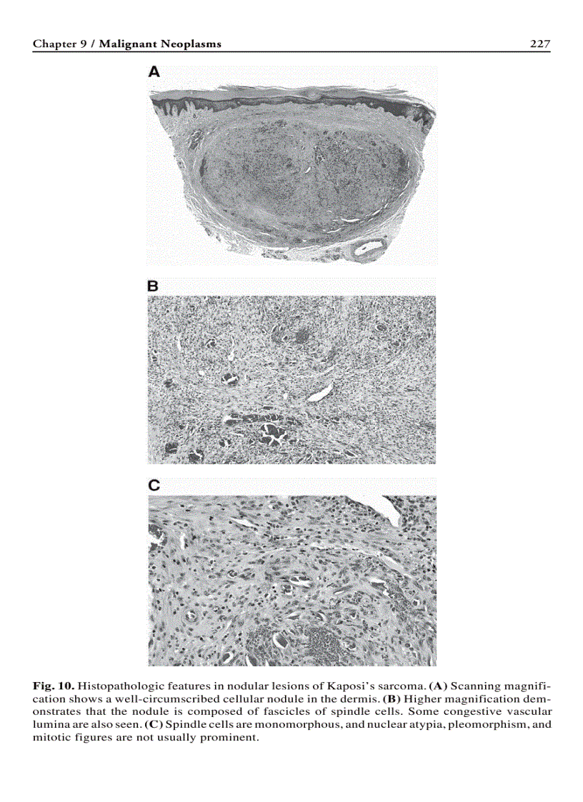 image for page Humana Press