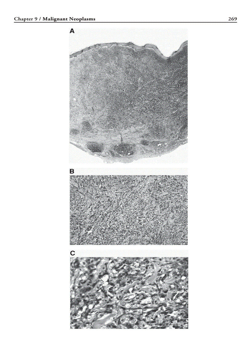 image for page Humana Press