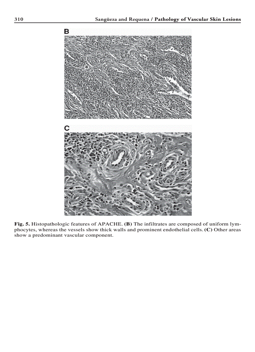 image for page Humana Press