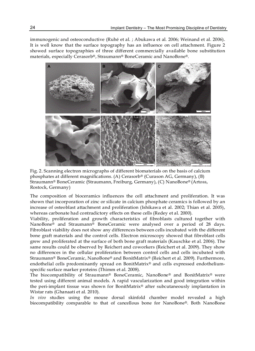 image for page Implant Dentistry The Most Promising Discipline of Dentistry