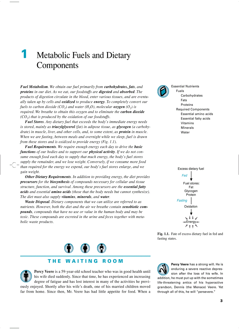 image for page Marks Basic Medical Biochemistry A Clinical Approach