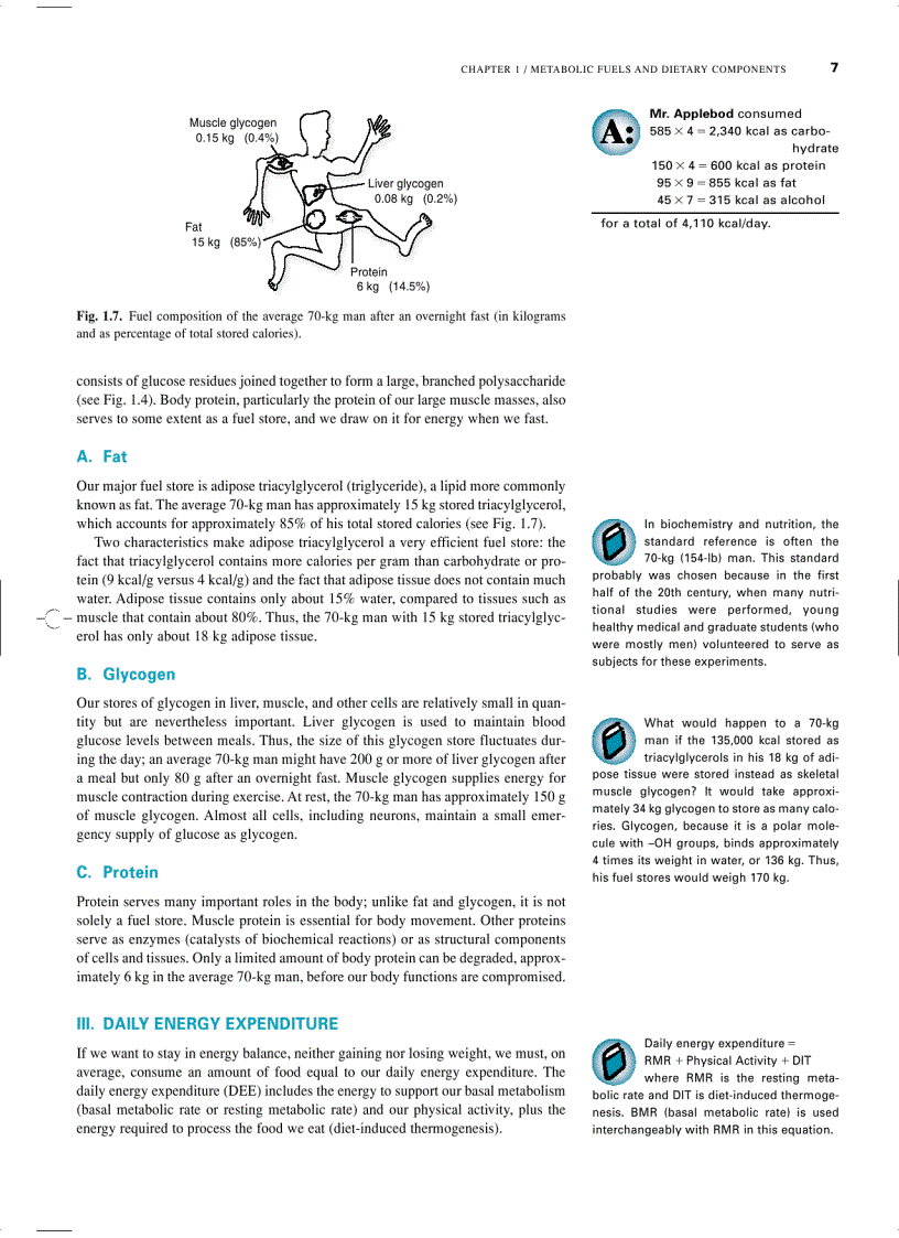 image for page Marks Basic Medical Biochemistry A Clinical Approach