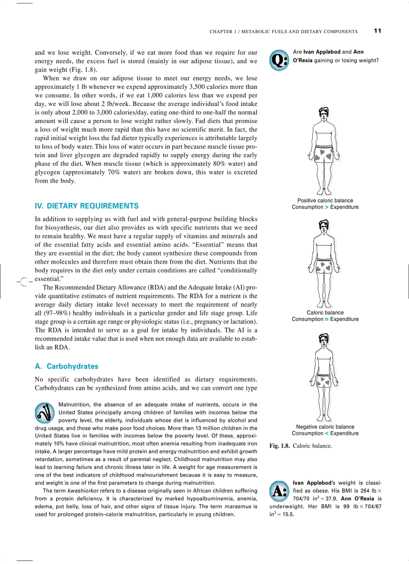 image for page Marks Basic Medical Biochemistry A Clinical Approach