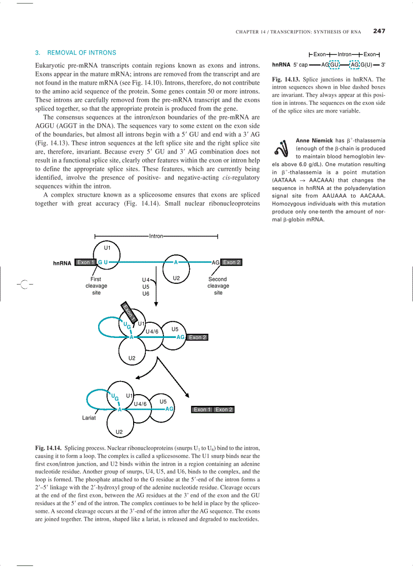 image for page Marks Basic Medical Biochemistry A Clinical Approach