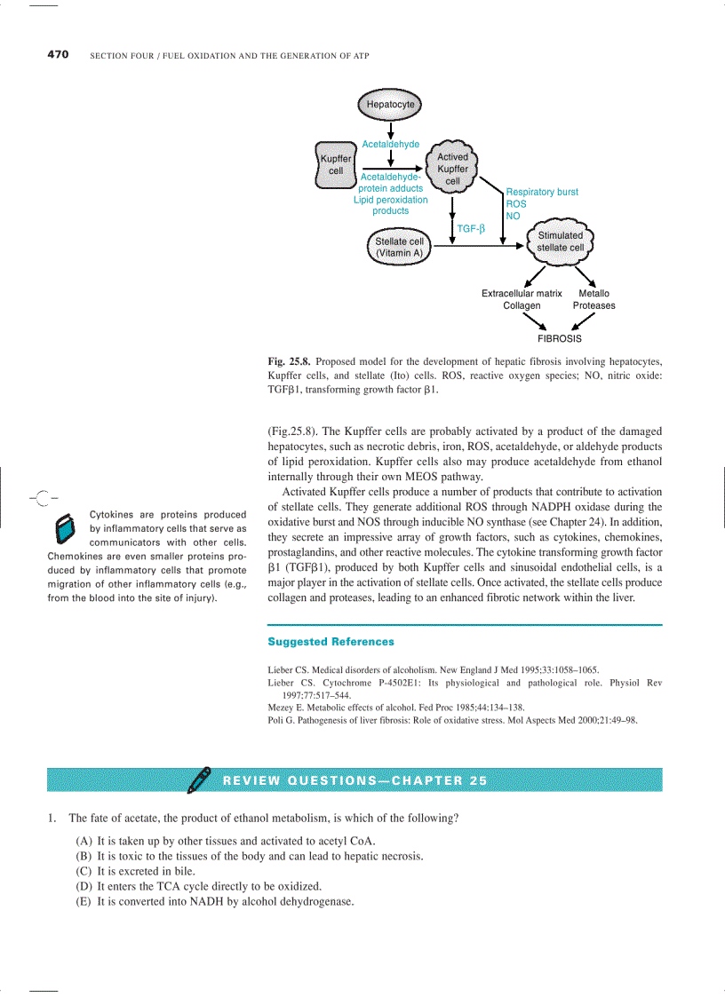 image for page Marks Basic Medical Biochemistry A Clinical Approach