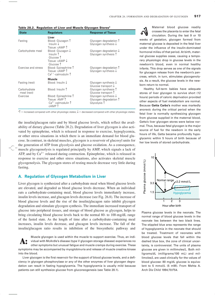 image for page Marks Basic Medical Biochemistry A Clinical Approach