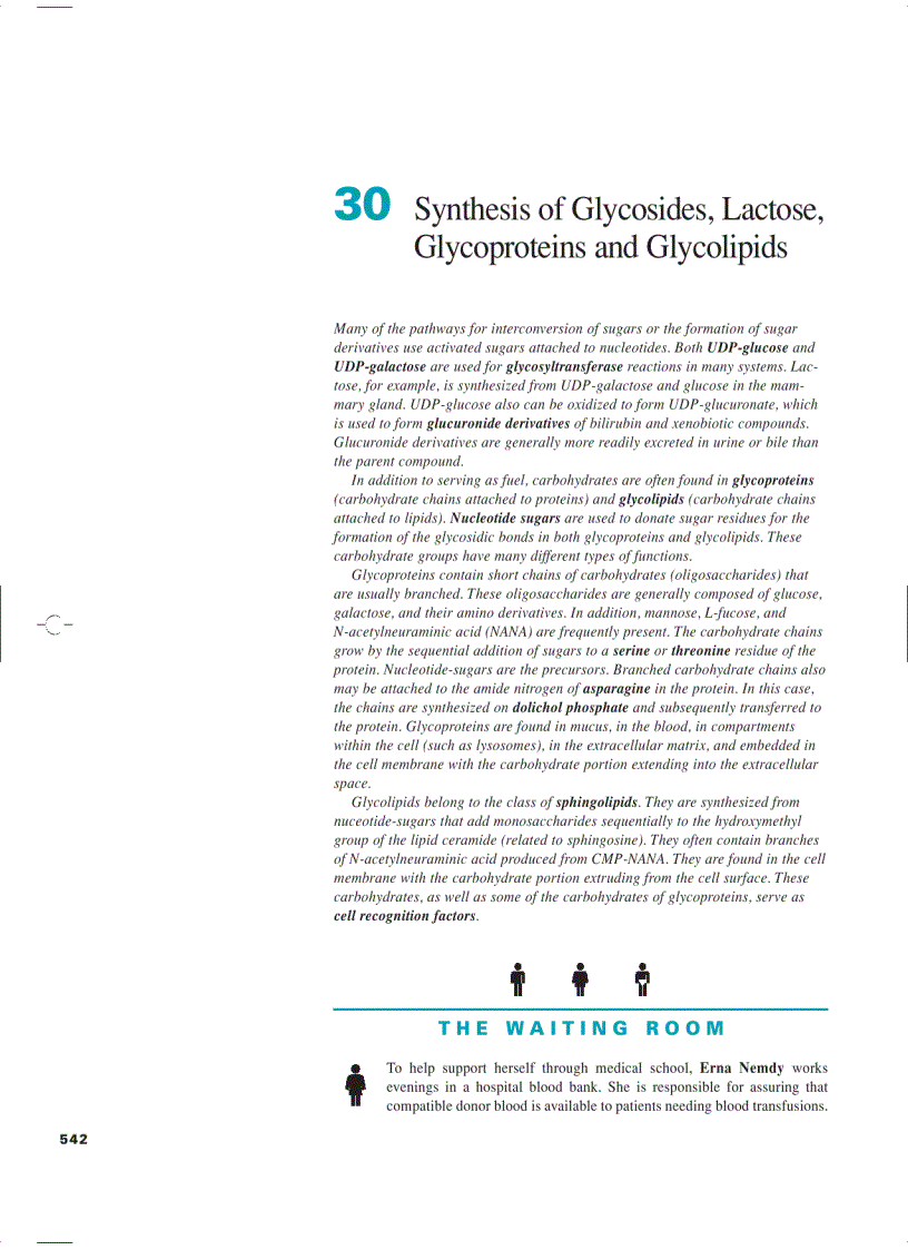 image for page Marks Basic Medical Biochemistry A Clinical Approach
