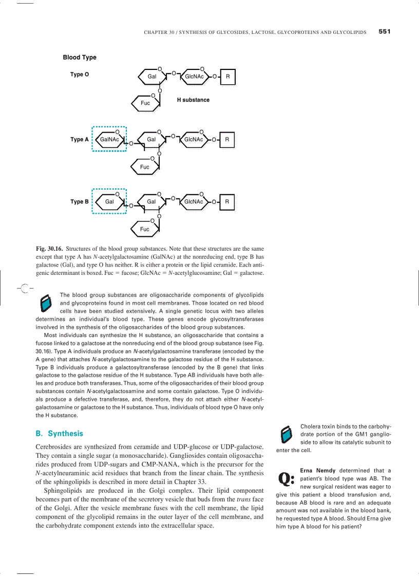 image for page Marks Basic Medical Biochemistry A Clinical Approach