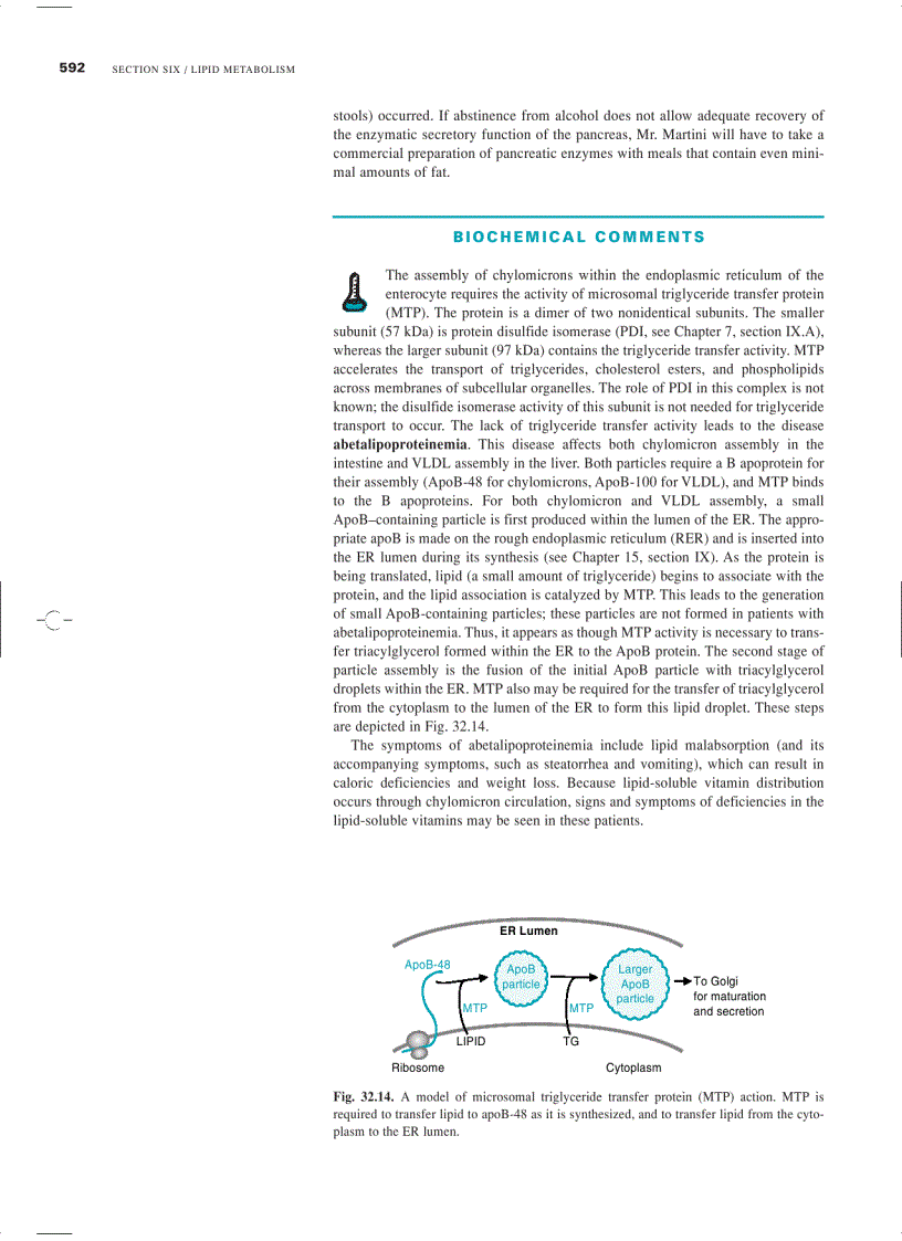 image for page Marks Basic Medical Biochemistry A Clinical Approach