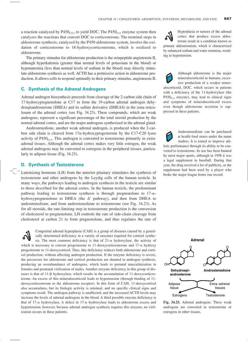 image for page Marks Basic Medical Biochemistry A Clinical Approach