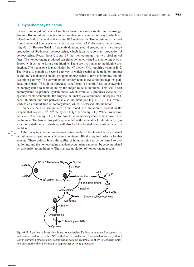 image for page Marks Basic Medical Biochemistry A Clinical Approach