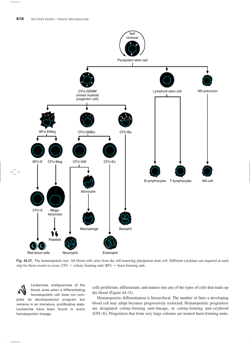 image for page Marks Basic Medical Biochemistry A Clinical Approach