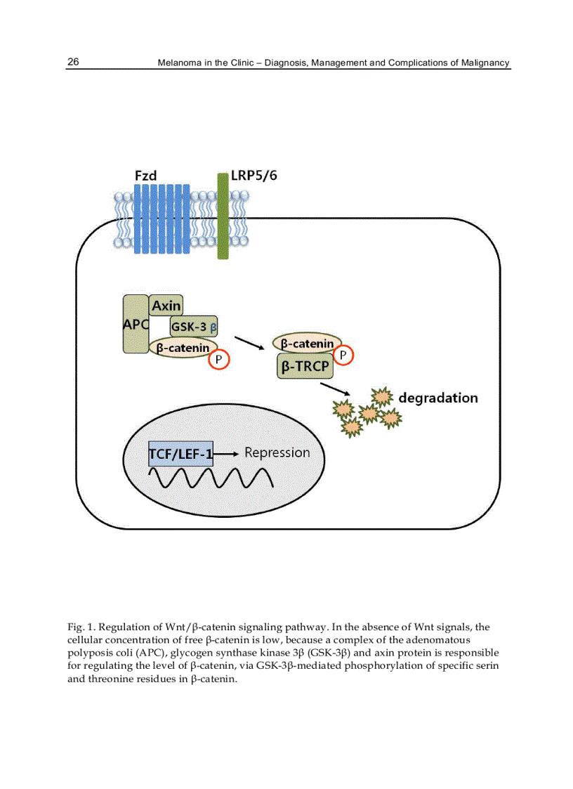 image for page Melanoma in the Clinic Diagnosis Management and Complications of Malignancy