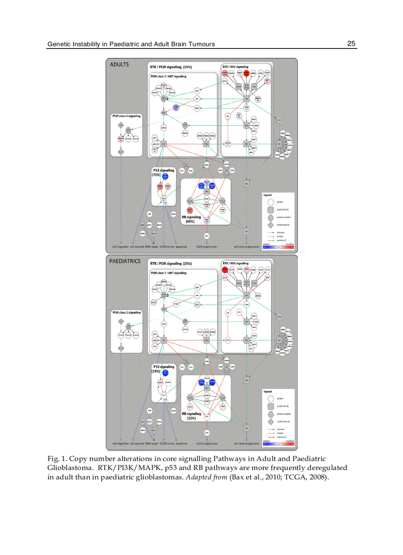 image for page Molecular Targets of CNS Tumors