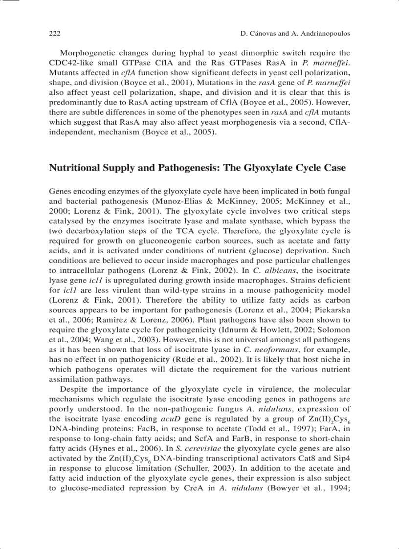 image for page New Insights in Medical Mycology