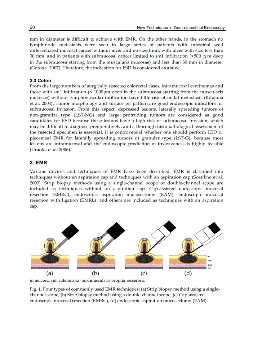 image for page New Techniques in Gastrointestinal Endoscopy