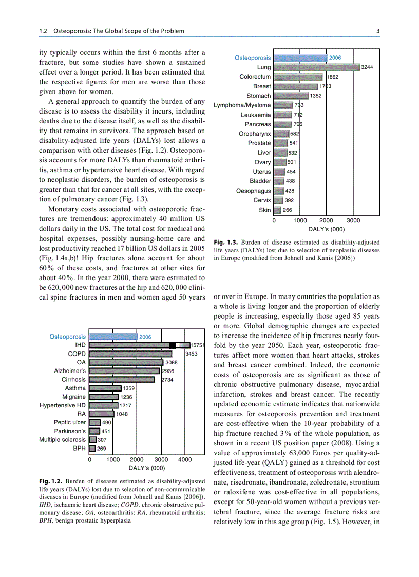 image for page Osteoporosis Diagnosis