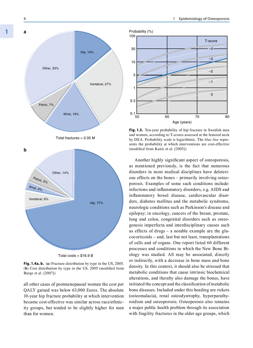 image for page Osteoporosis Diagnosis