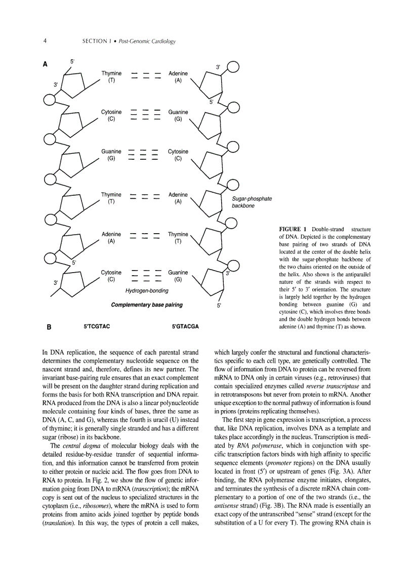 image for page Post Genomic Cardiology