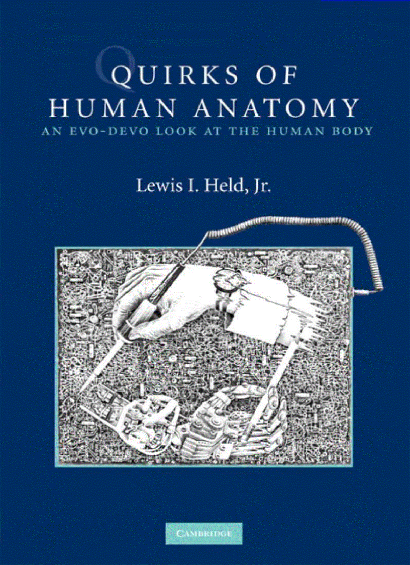 image for page Quirks of Human Anatomy An Evo Devo Look at the Human Body
