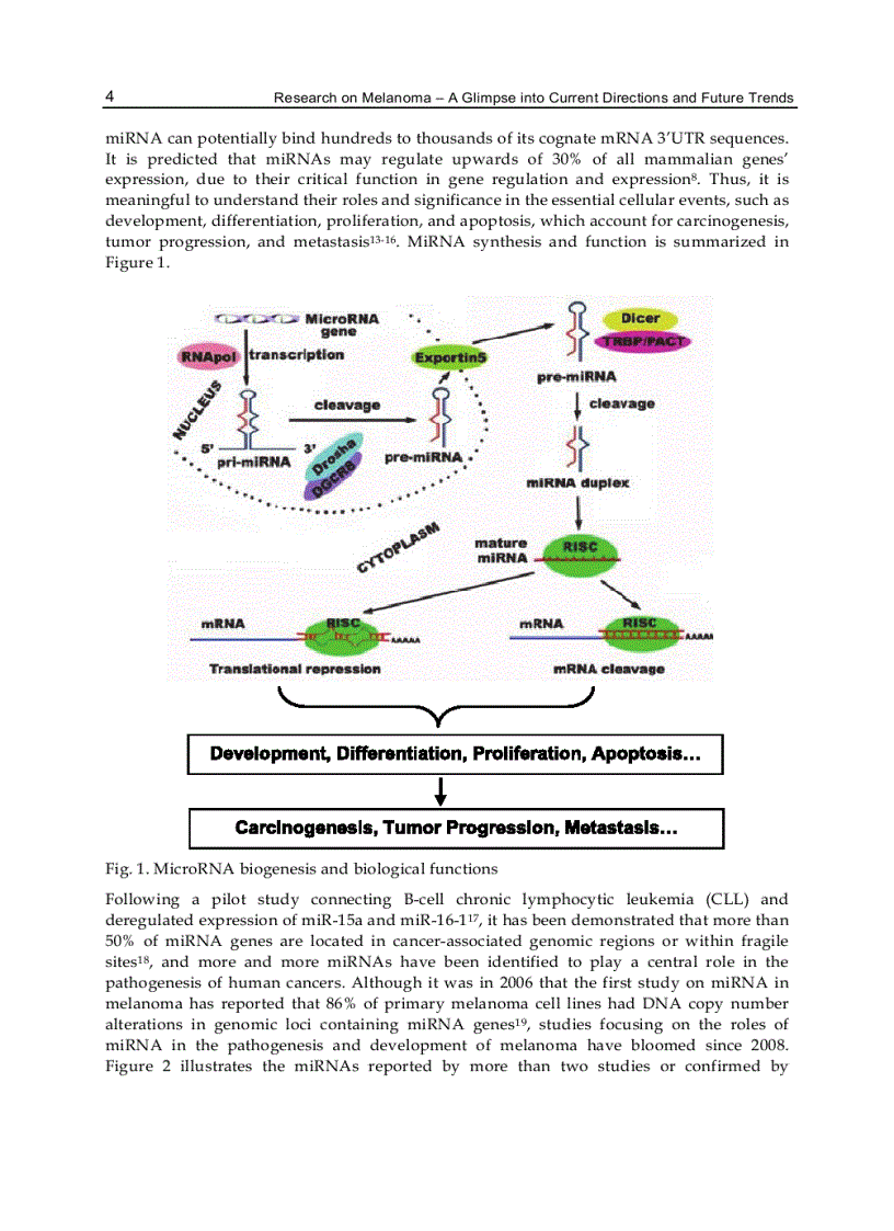 image for page Research on Melanoma A Glimpse into Current Directions and Future Trends