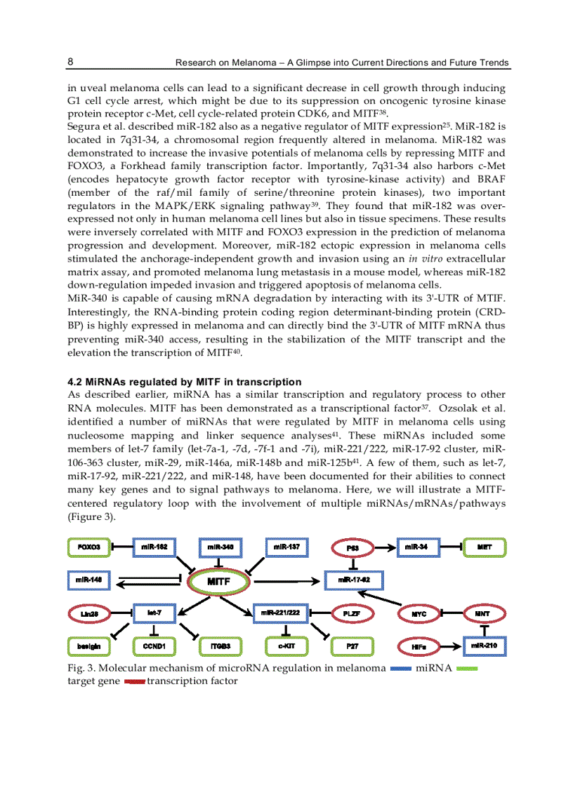 image for page Research on Melanoma A Glimpse into Current Directions and Future Trends