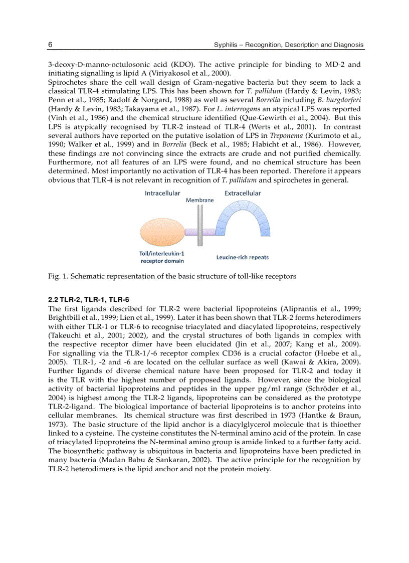 image for page Syphilis Recognition Description and Diagnosis