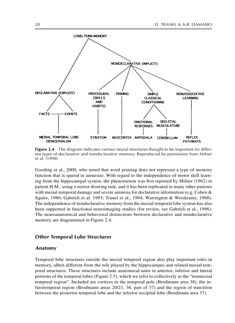 image for page The Handbook of Memory Disorders 2nd Edition