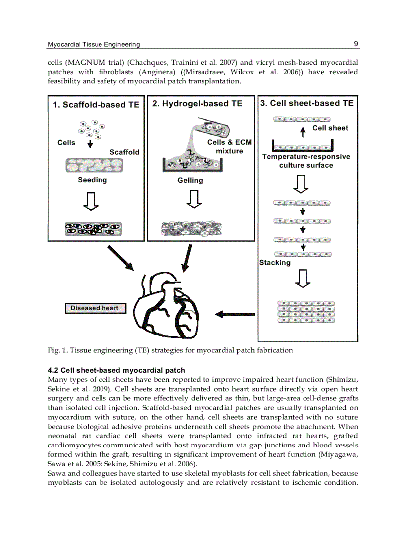 image for page Tissue Engineering for Tissue and Organ Regeneration